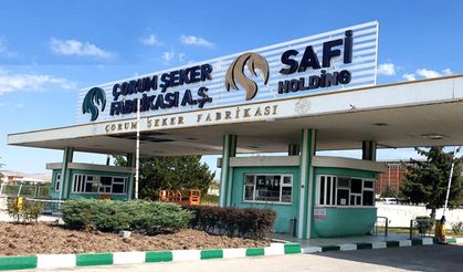 Çorum'daki hazine arazisini Şeker Fabrikası aldı