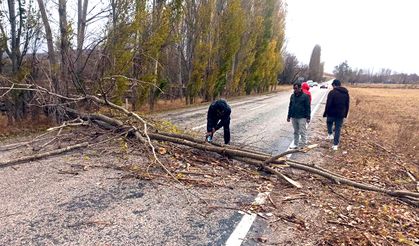 Boğazkale’de şiddetli rüzgar ağaçları devirdi