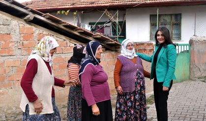 Genç kaymakamdan köy ziyaretleri