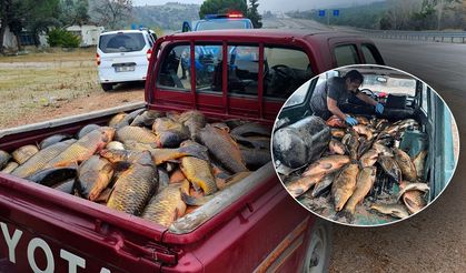 Çorum'da 620 kg sazana el konuldu