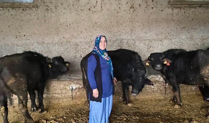 Antalya'dan Çorum'daki köyüne döndü çiftlik sahibi oldu