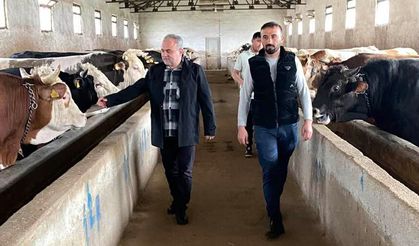 Genç besici alın terinin bereketini mazlumlarla paylaştı