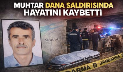 Çorum'da dananın saldırısına uğrayan muhtar hayatını kaybetti