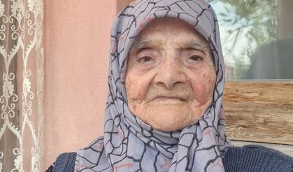 Asırlık çınar hayatını kaybetti
