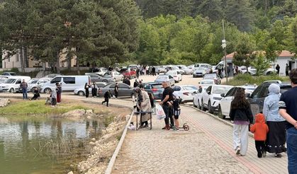 Çorum'da piknikte kalbine yenildi