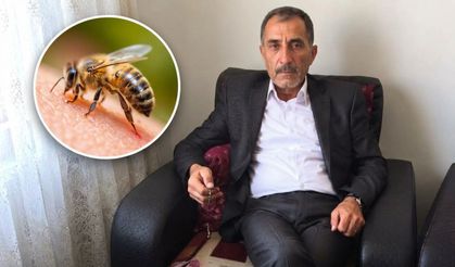 Arı sokması sonucu hayatını kaybetti