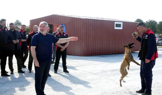 Belediye arama-kurtarma köpeği yetiştiriyor
