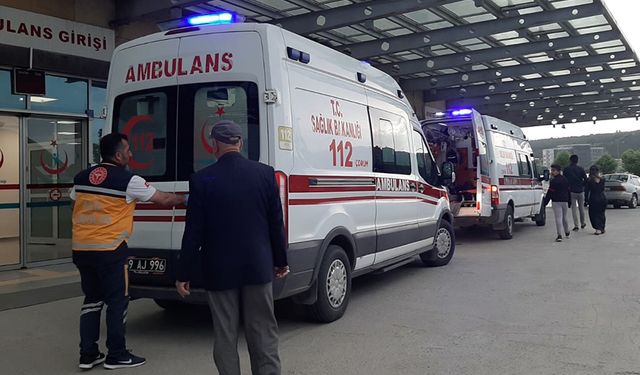 Mantar yiyen 10 kişi hastanelik oldu