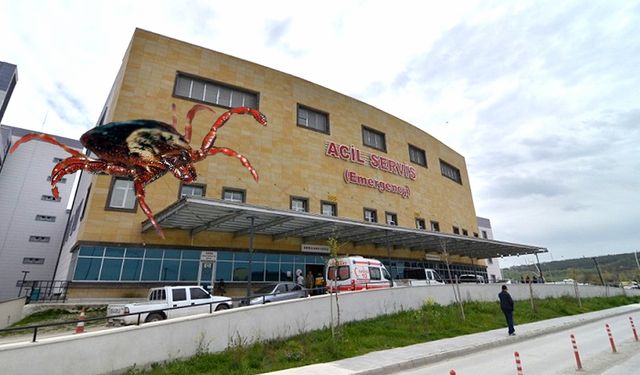 Kene kabusu bitiyor!