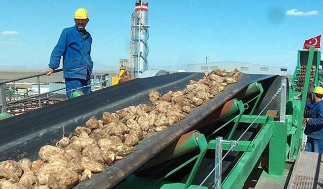 Türkşeker 525 kişi alacak