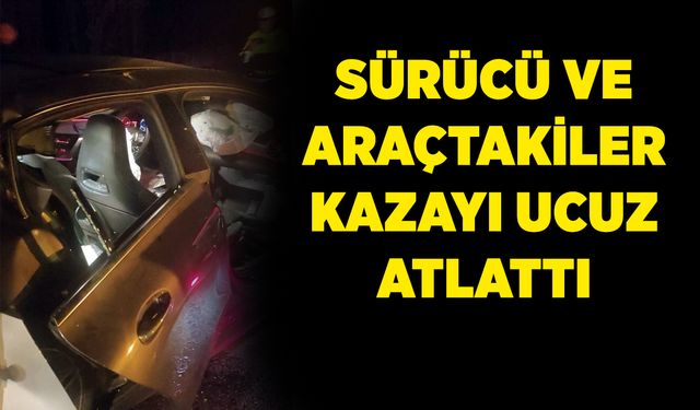 Tilkiye otomobil, otomobile de tır çarptı