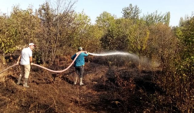 Dodurga'da ceviz bahçesi yandı