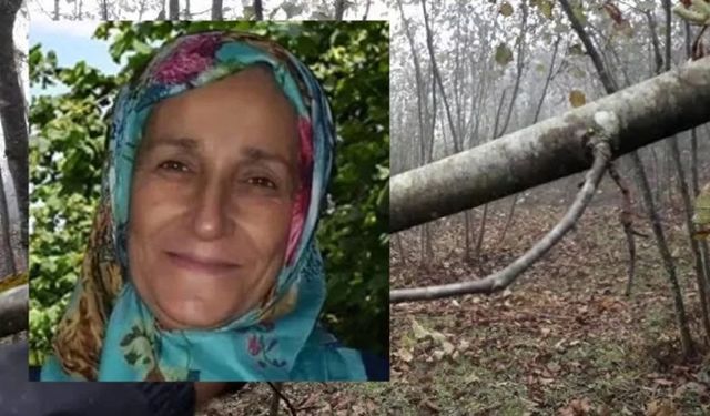 Fındık bahçesinde düşen kadın hayatını kaybetti