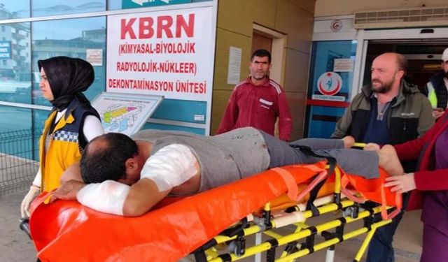 Köpeğin saldırdığı inşaat işçisi ağır  yaralandı
