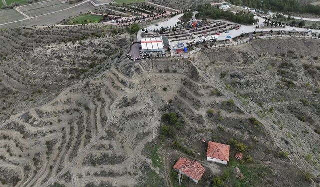 Çorum'da bu tepe lavanta bahçesi oluyor