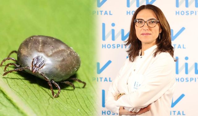 'Kene kaynaklı hastalıklar artmaya başladı'