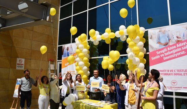 Sarı balonlarla Hepatit’e dikkat çektiler