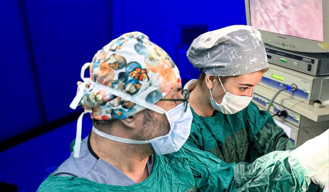 Elitpark'ta bir ilk! 'İzsiz Ameliyat' yapıldı