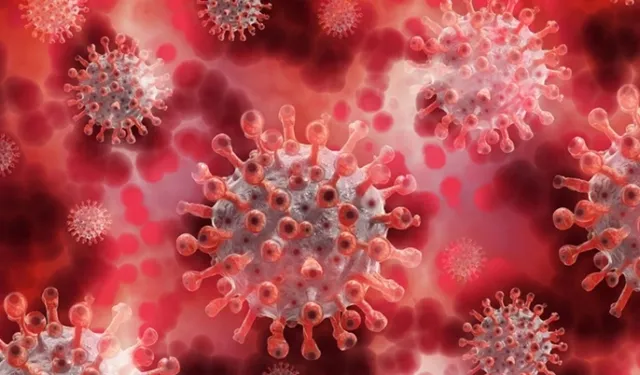 Türkiye'de riskli DSÖ uyardı acil önlem çağrısı