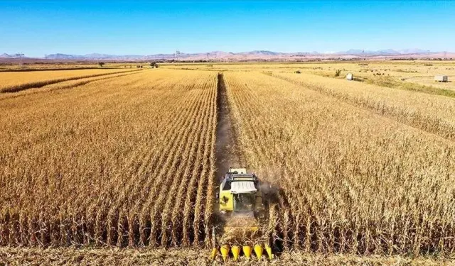 Gençlere tarımda süper teşvik geliyor!