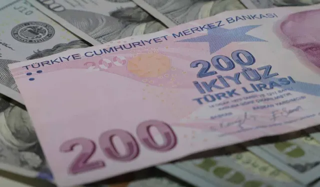 Ekonomistlerin dolar/TL ve enflasyon beklentisi yükseldi