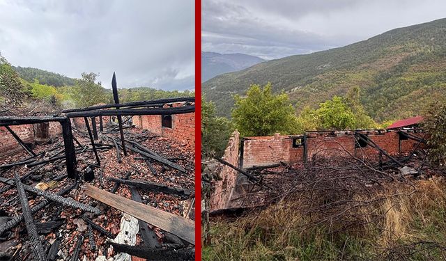 Çorum'da 30 hayvan yanarak telef oldu