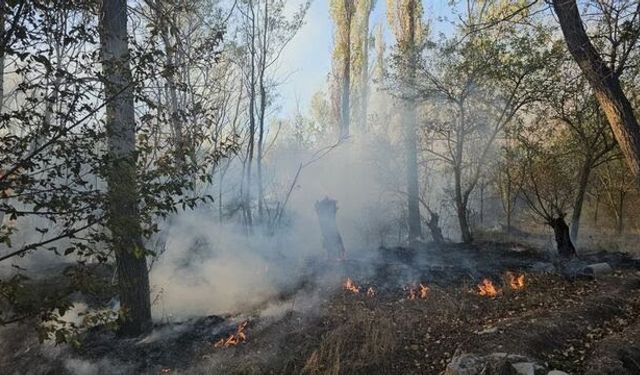 Çorum'da ağaçlık alanda yangın: 620 dönüm alan zarar gördü