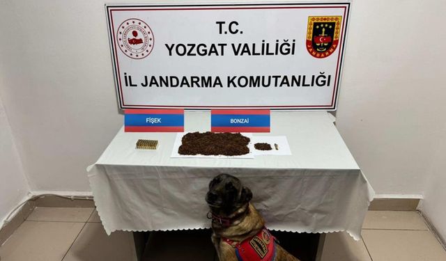 Çorum’dan Yozgat’a uyuşturucu madde taşırken yakalandı