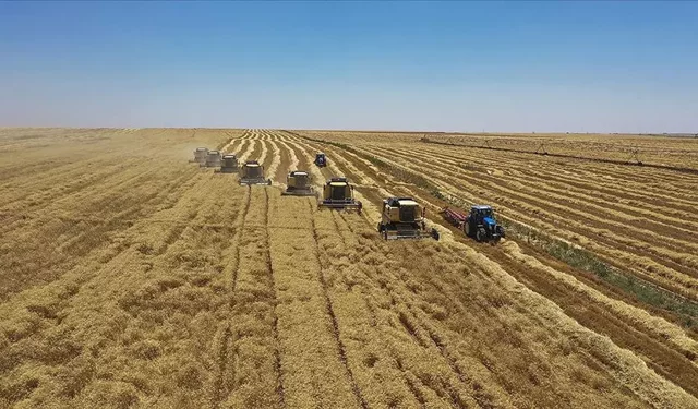 FAO'dan Türkiye'deki projelere 8,1 milyon dolarlık kaynak