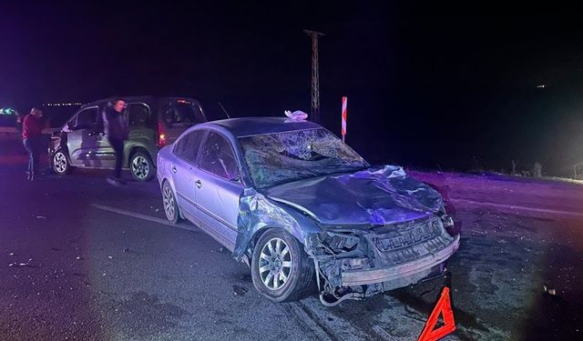 İki araç büyükbaş hayvana çarptı! 3 yaralı