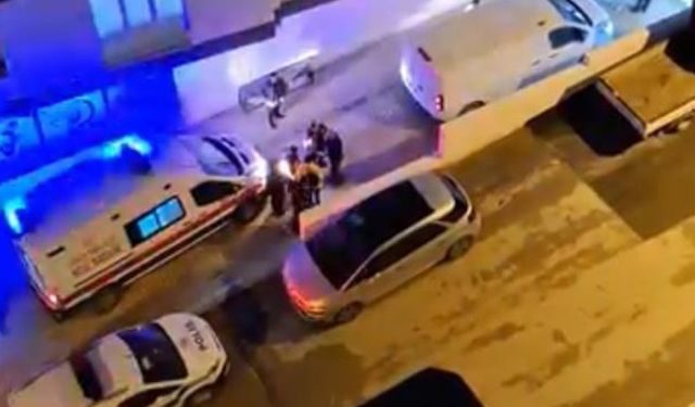 Başıboş köpek dehşeti