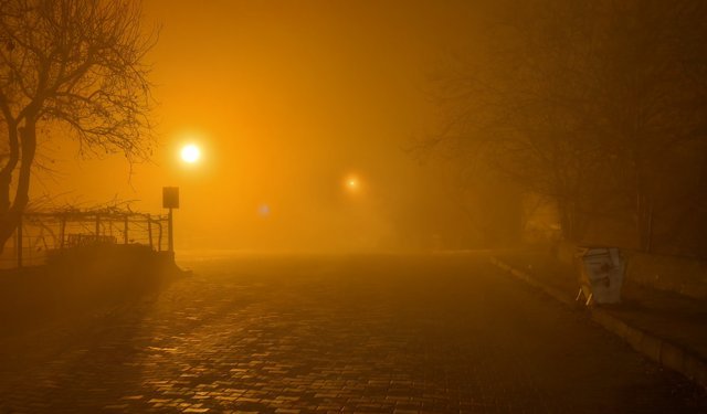 Laçin'de sis etkili oldu