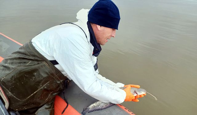 2.7 km uzunluğunda  kaçak ağ ele geçirildi