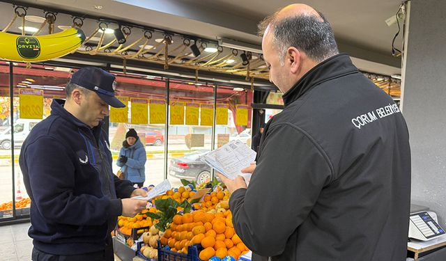 105 manav denetimden geçti