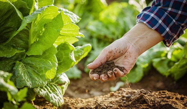 Gıdada sürdürülebilirlik için uluslararası AR-GE projeleri desteklenecek