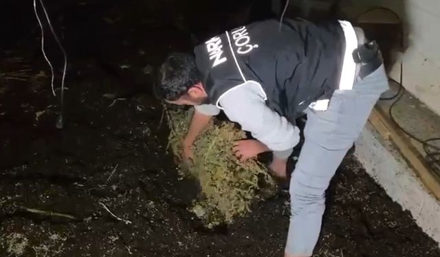 Çorum'da bir fabrikaya uyuşturucu operasyonu düzenlendi