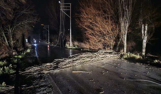 Kuvvetli rüzgar elektrik tellerini kopardı, ağaçları devirdi