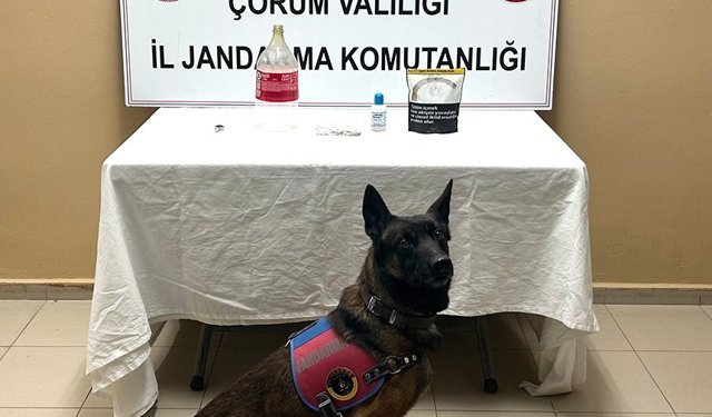 Uyuşturucu operasyonunda 1 kişi yakalandı