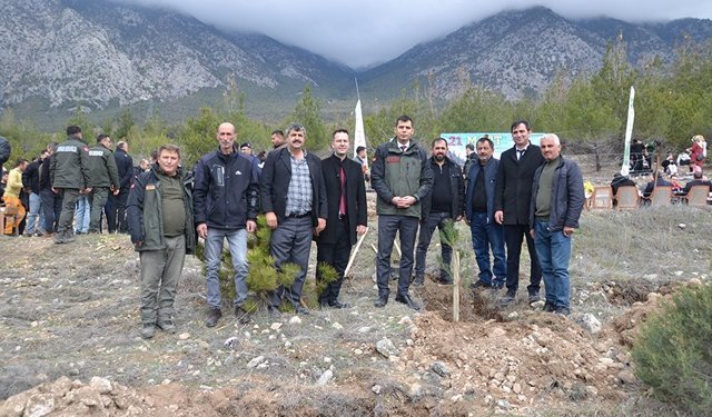 Kargı'da 250 fidan toprakla buluştu