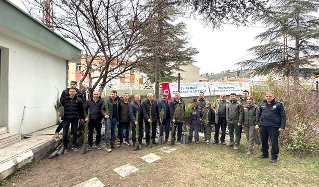 Çorum'un bu ilçesinde 16 bin fidan dağıtıldı