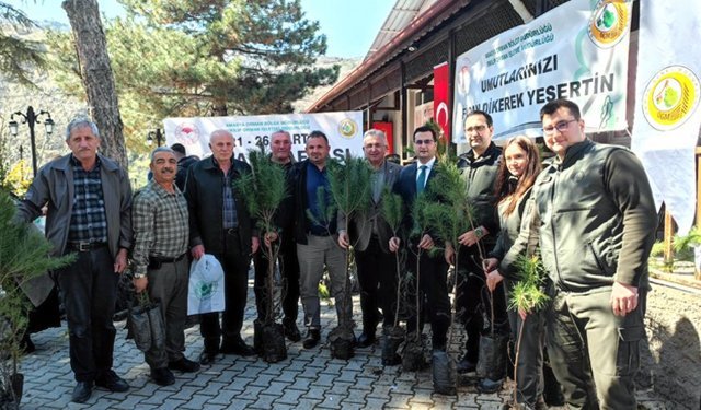Oğuzlar’da 2 bin  500 fidan dağıtıldı