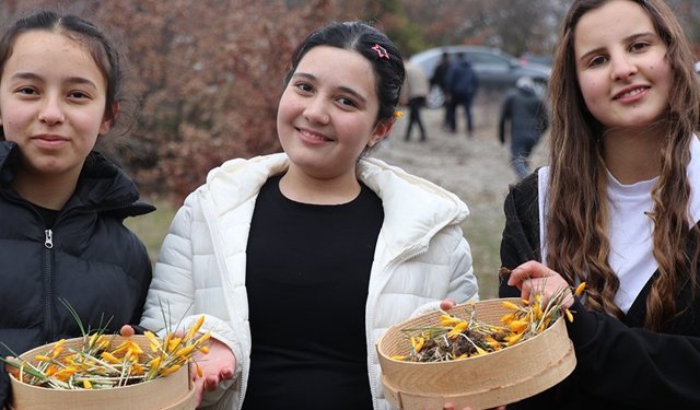 Hititlerden kaldığı düşünülen "Çiğdem Gezmesi" etkinliği düzenlendi