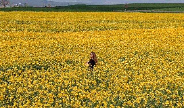Merzifon-Çorum yolunda görsel şölen