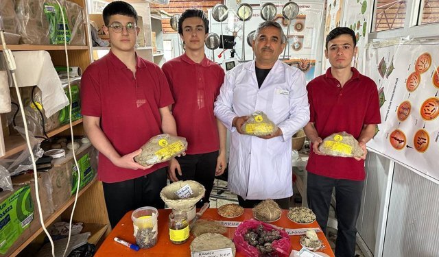 Meyvelerin daha uzun süre taze kalması için doğal kap tasarladılar