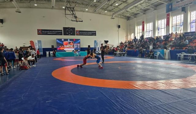 Olimpiyat şampiyonları anısına güreş turnuvası düzenlendi