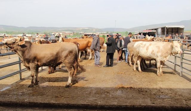 Kurban Bayramı haraketliliği başladı
