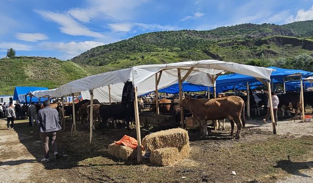 Bayat'ta hayvan pazarı açıldı