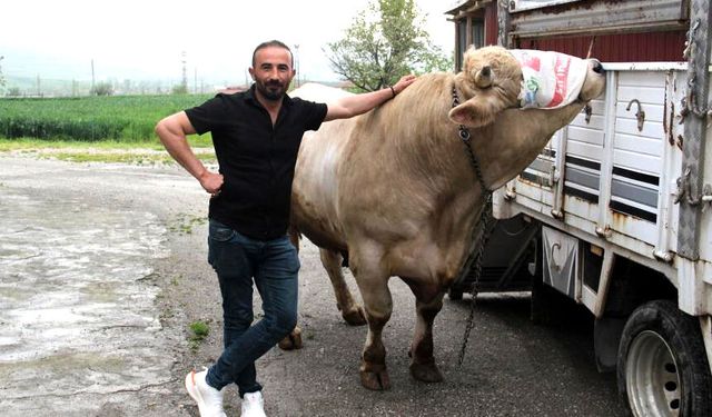 650 bin liraya alıcısını bekliyor