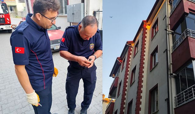 Binanın çatısına sıkışan kırlangıç kurtarıldı