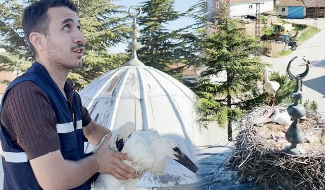 Ayağı yuvasındaki ipe takılan yavru leyleği itfaiye kurtardı